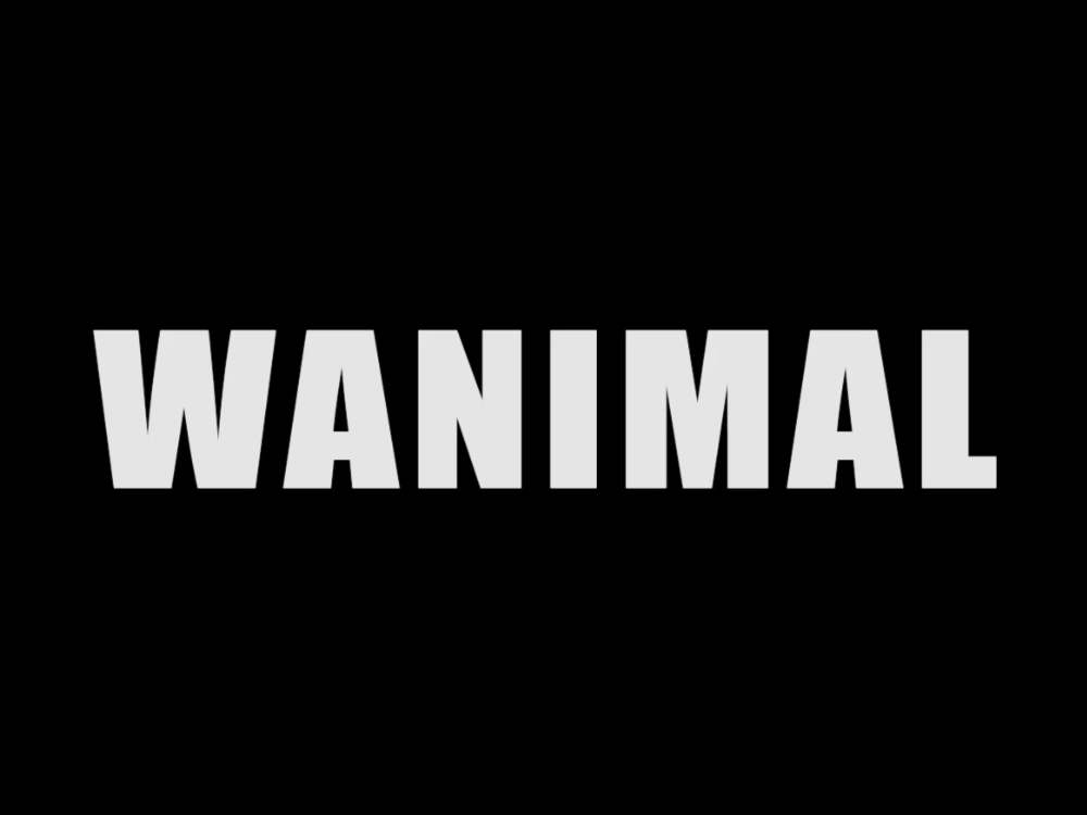 WANIMAL王动